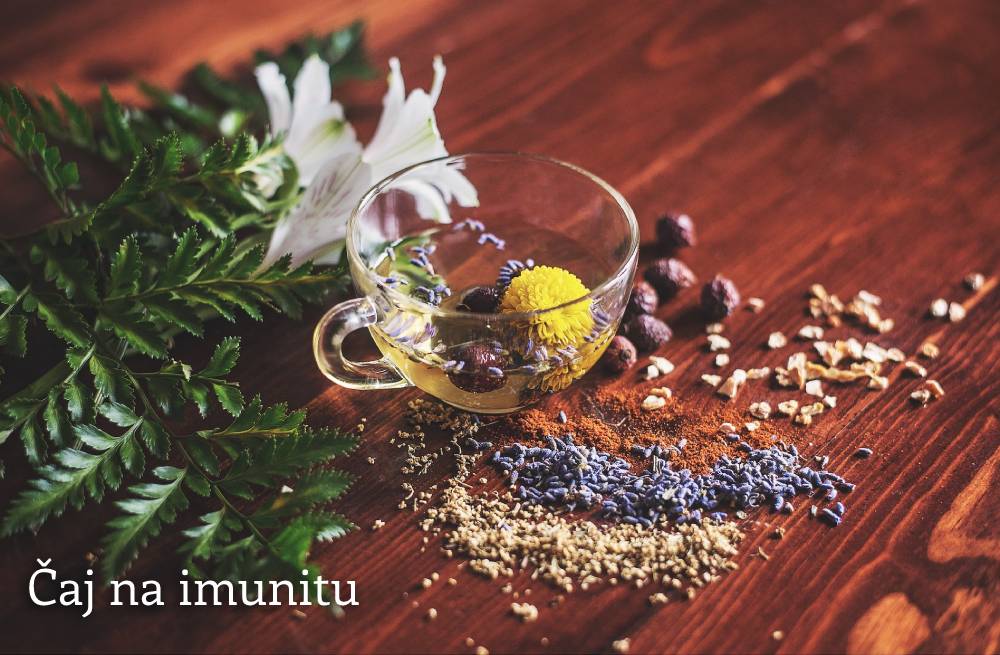 Čaj na imunitu: Který je ten nejlepší a jak na jeho přípravu